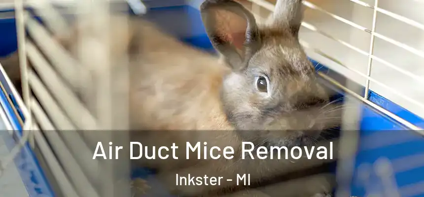 Air Duct Mice Removal Inkster - MI