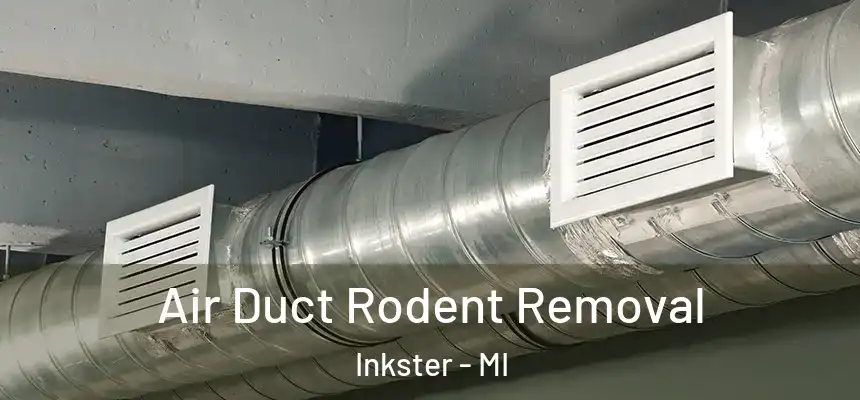 Air Duct Rodent Removal Inkster - MI
