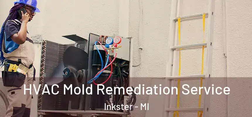  HVAC Mold Remediation Service Inkster - MI