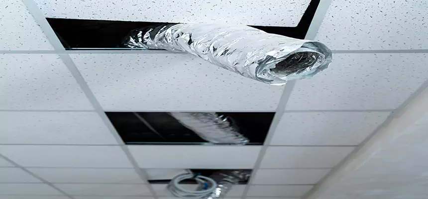 Our Air Duct Pet Hair Removal Services in Inkster, MI