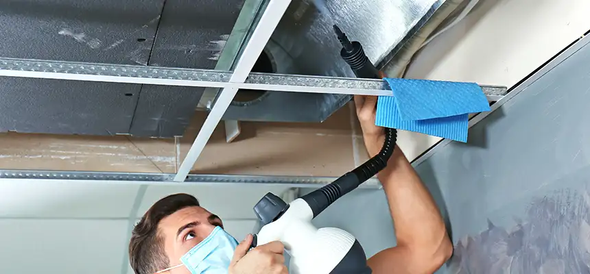 Our Air Duct Rodent Removal Services in Inkster, MI