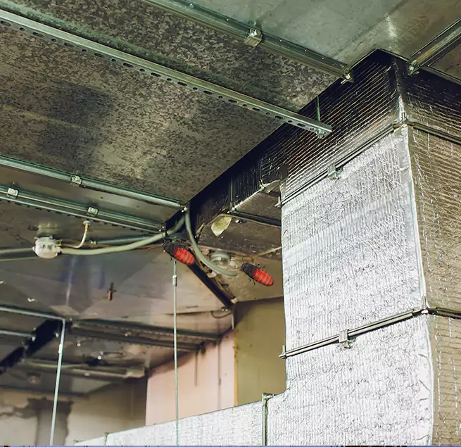 Why Homeowners & Businesses Trust Us in Inkster, MI?