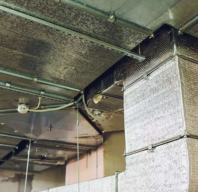 Why Homeowners & Businesses Trust Us in Inkster, MI?