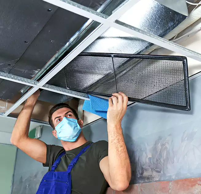 Why Homeowners Businesses Trust Us in Inkster, MI